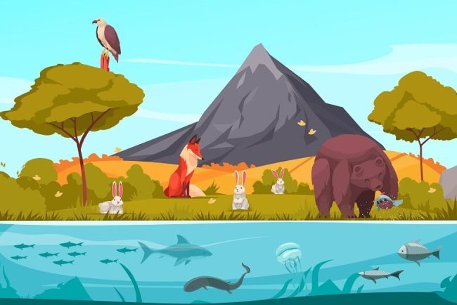 4 Types of Ecosystems and Their Characteristics