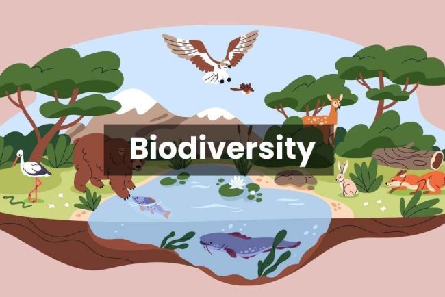Conservation of Biodiversity - Breif Notes